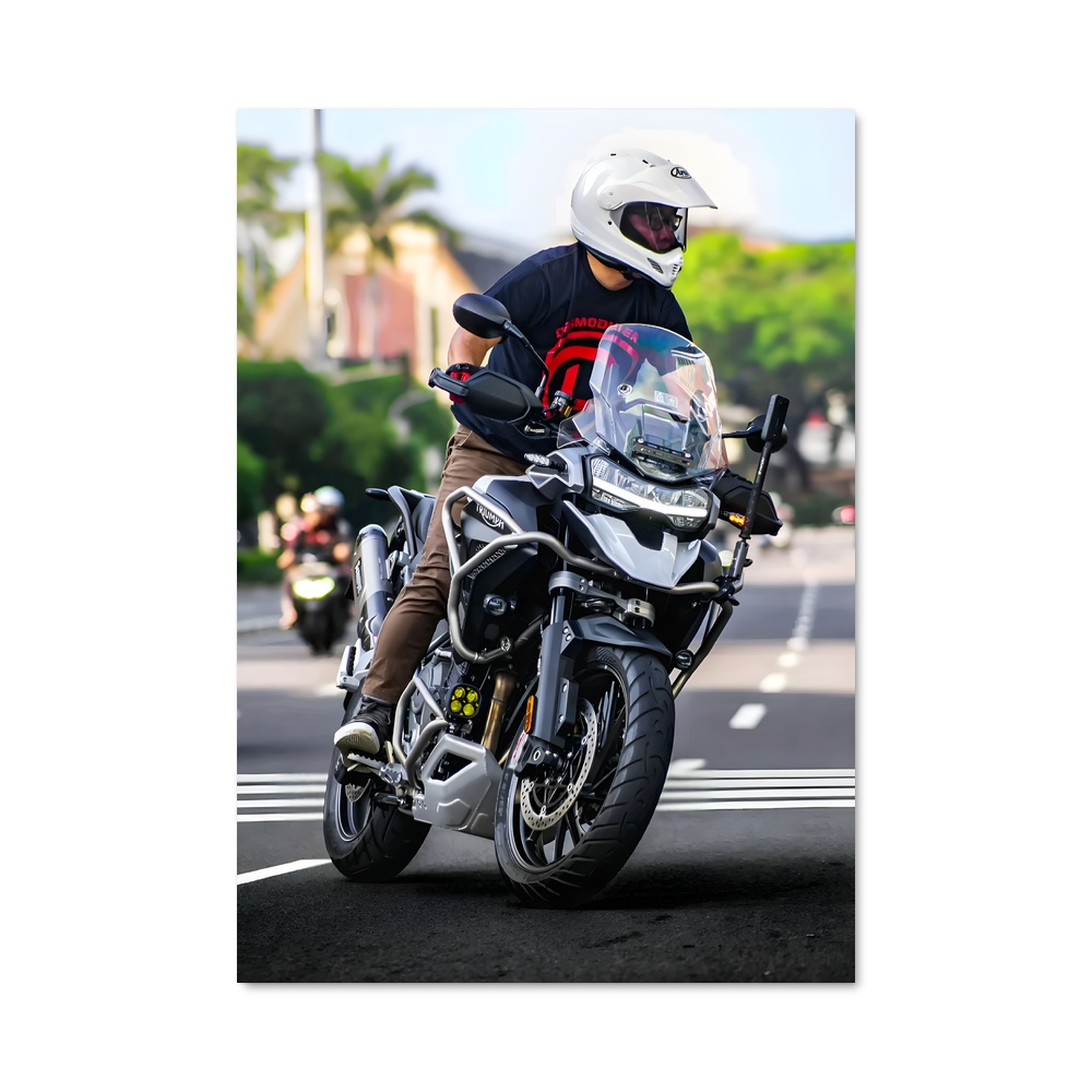 Poster Tigre Époustouflant